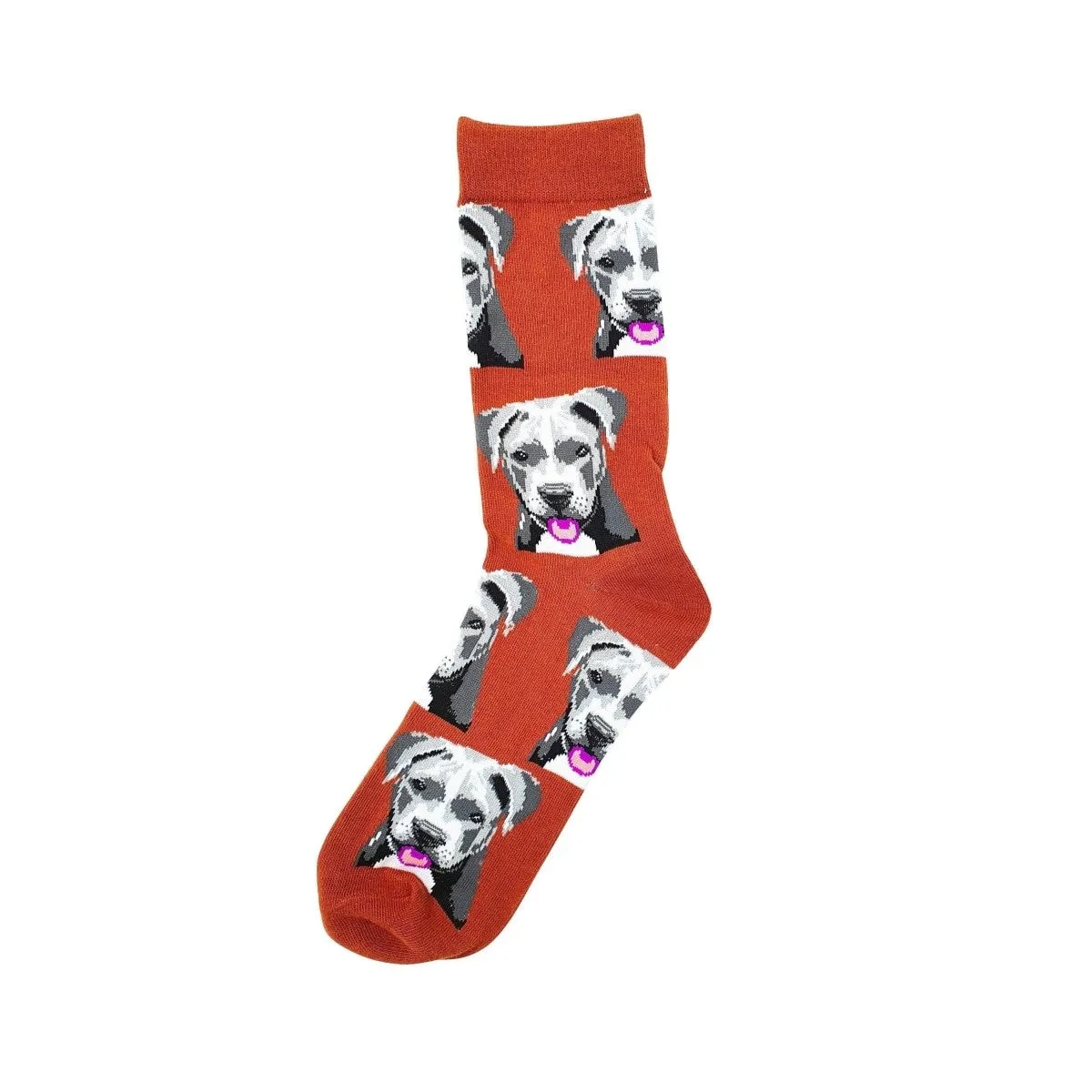 Animal Socks Dogs Staffy