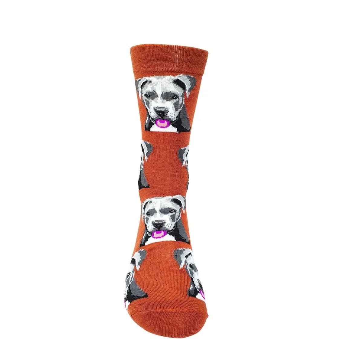 Animal Socks Dogs Staffy