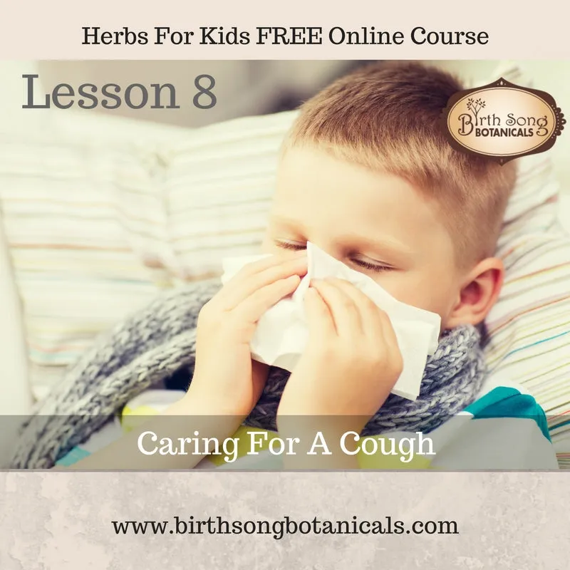 Herbs for Kids Free Online Course -Do NOT Add To Cart- click link